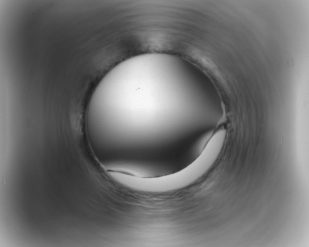 X0000088670450200706211854