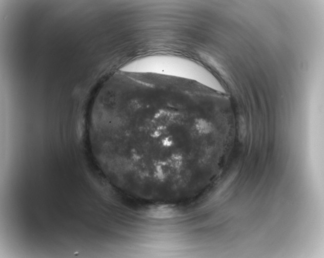 X0000088670451200706211854