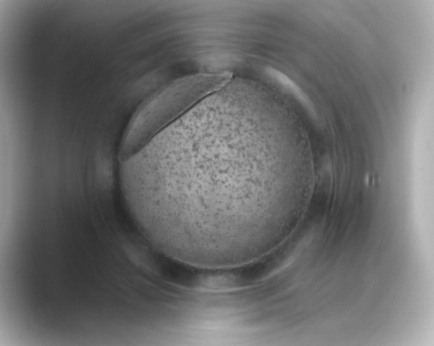 X0000088670452200706211854