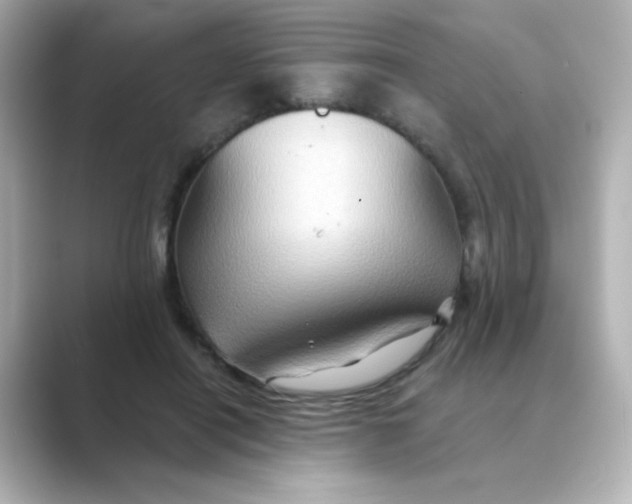 X0000088670454200706211854