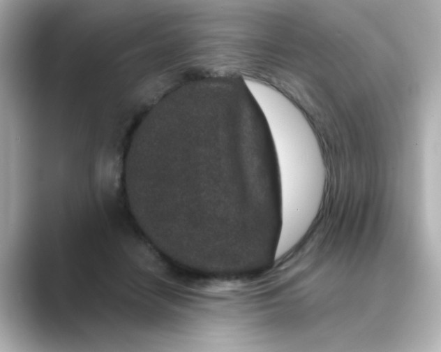 X0000088670458200706211854