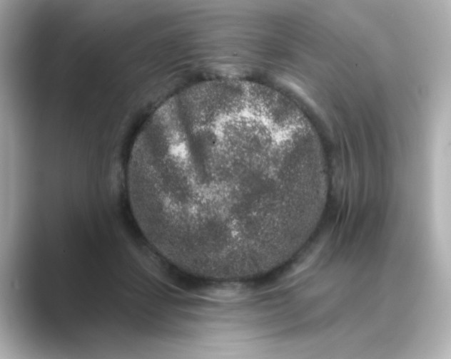 X0000088670459200706211854