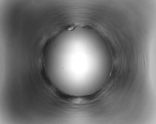 X0000088670460200706211854