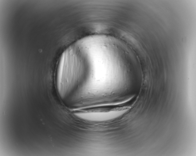 X0000088670461200706211854