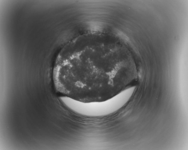 X0000088670462200706211854