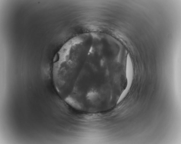 X0000088670465200706211854