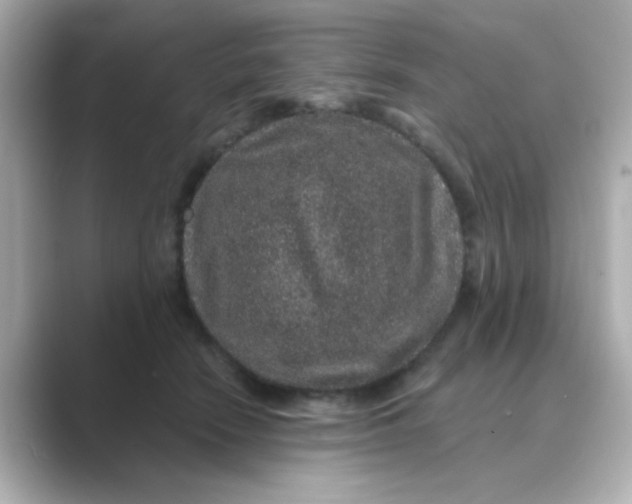X0000088670466200706211854