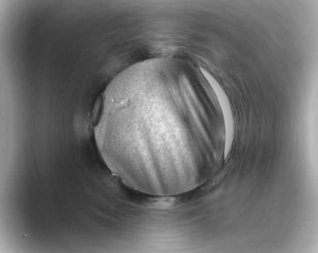 X0000088670474200706211854