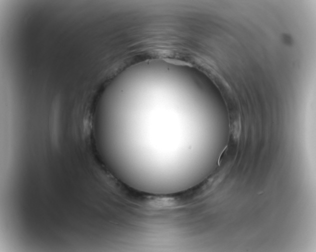 X0000088670476200706211854