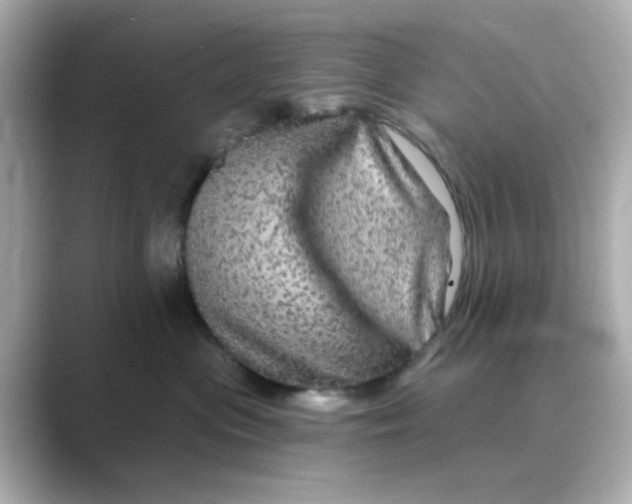 X0000088670477200706211854