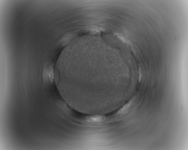 X0000088670479200706211854