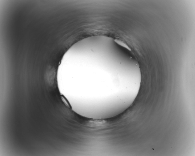 X0000088670480200706211854