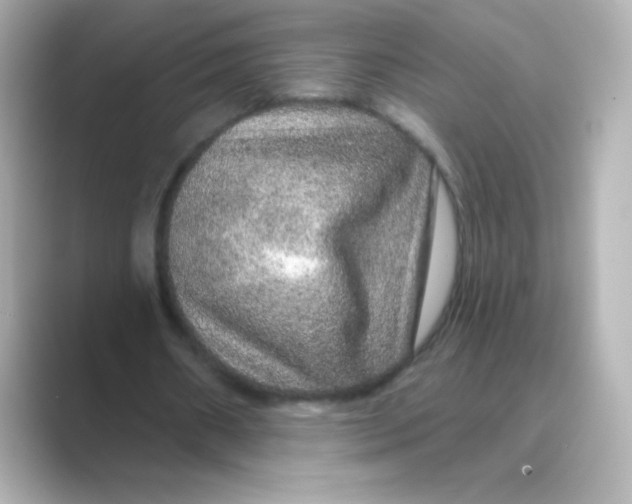 X0000088670482200706211853