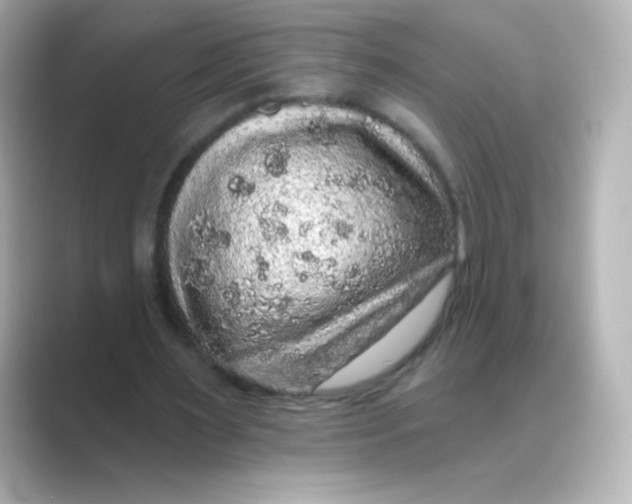 X0000088670483200706211853