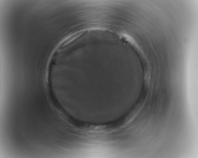 X0000088670484200706211853