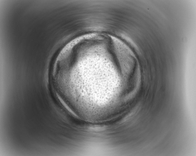 X0000088670486200706211853