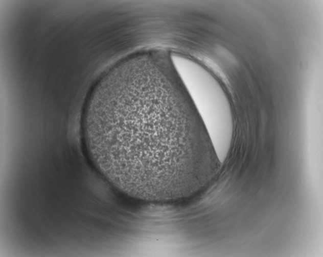X0000088670487200706211853