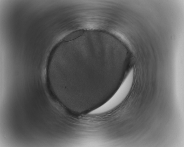 X0000088670488200706211853
