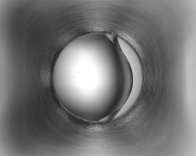 X0000088670489200706211853