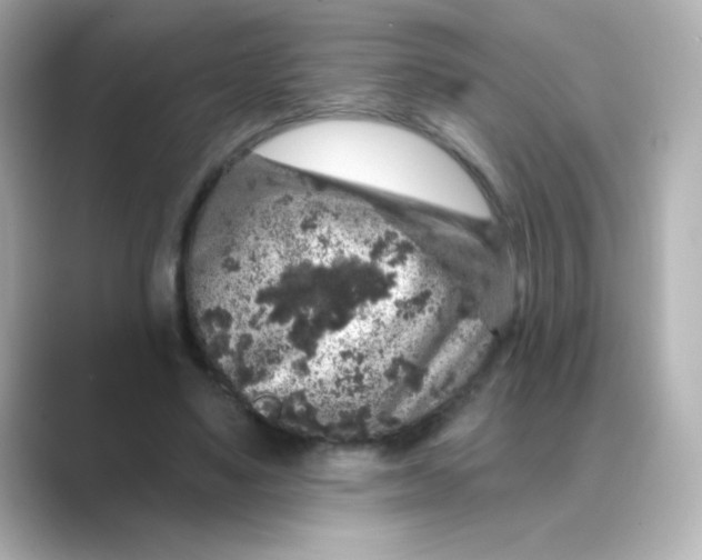 X0000088670491200706211853