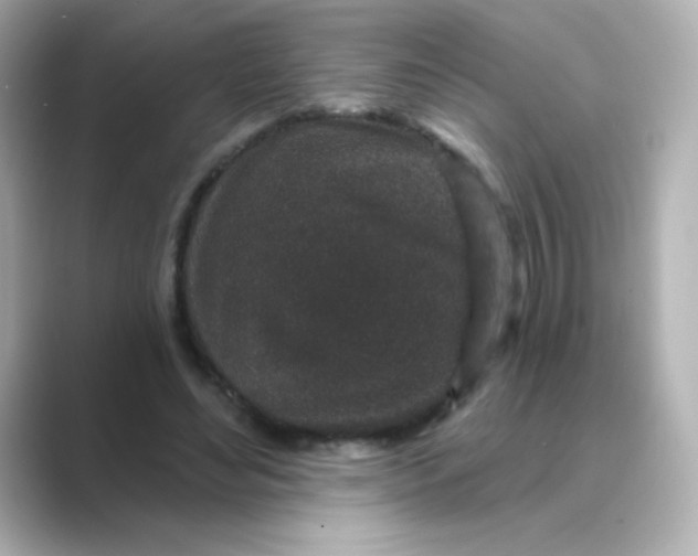 X0000088670492200706211853