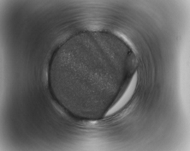 X0000088670493200706211853