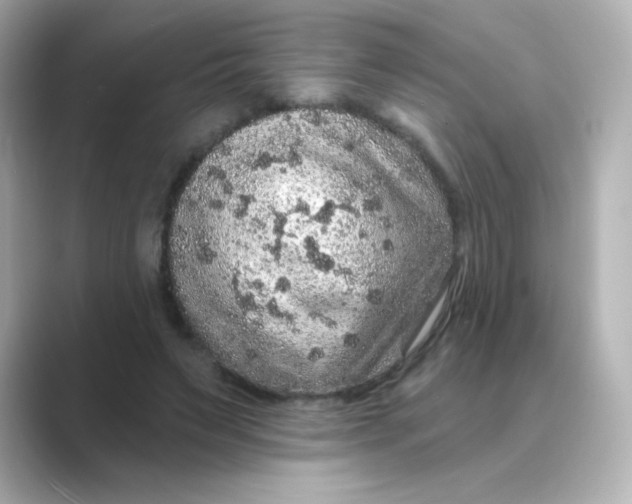X0000088670495200706211853