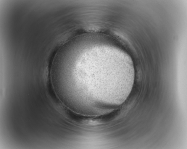 X0000088670498200706211853