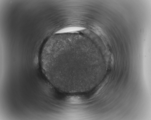 X0000088670500200706211853
