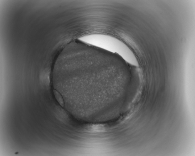 X0000088670501200706211853