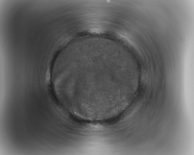 X0000088670502200706211853