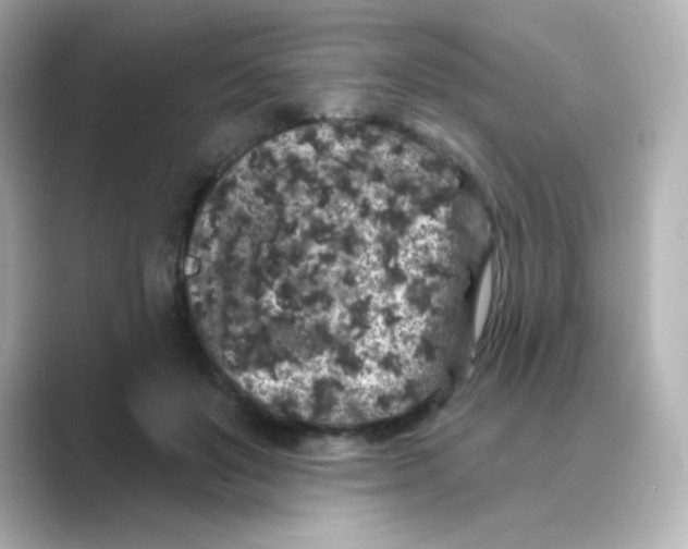 X0000088670503200706211853