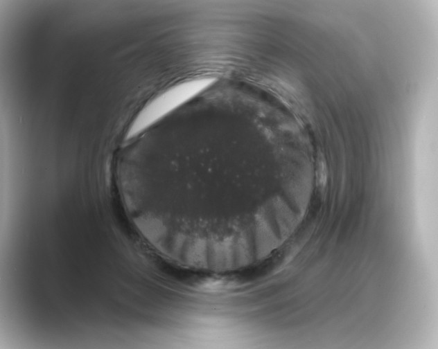 X0000088670504200706211853