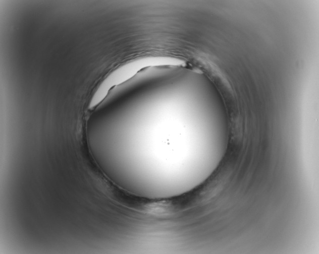 X0000088670505200706211853