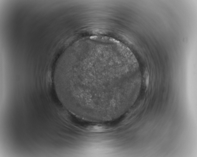 X0000088670506200706211853