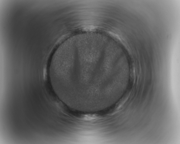 X0000088670508200706211853