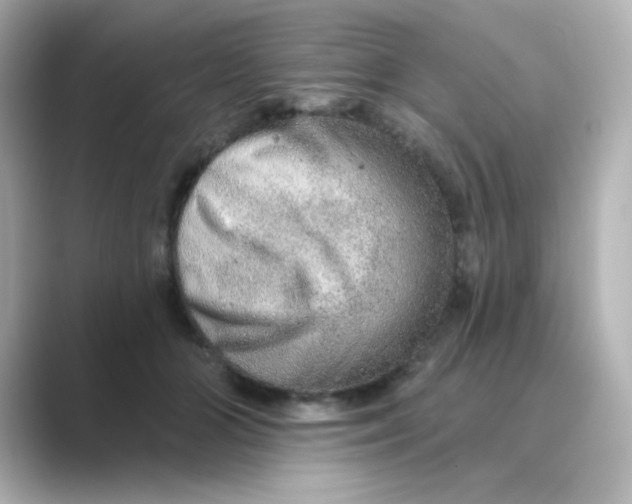 X0000088670510200706211853
