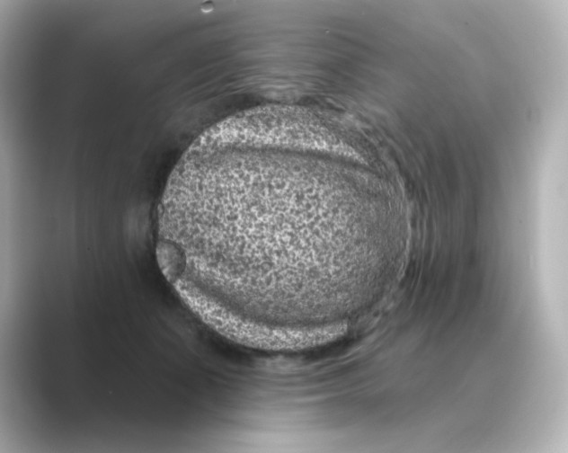 X0000088670511200706211853