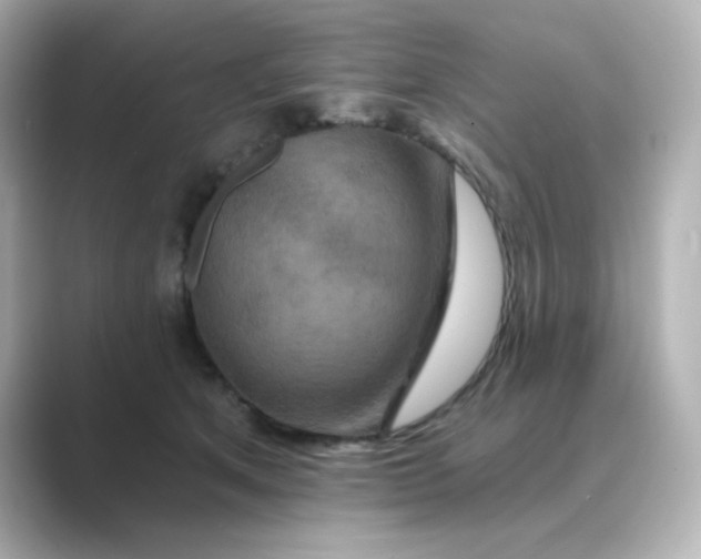 X0000088670513200706211853