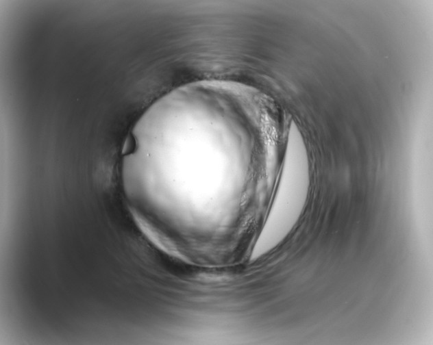 X0000088670515200706211853