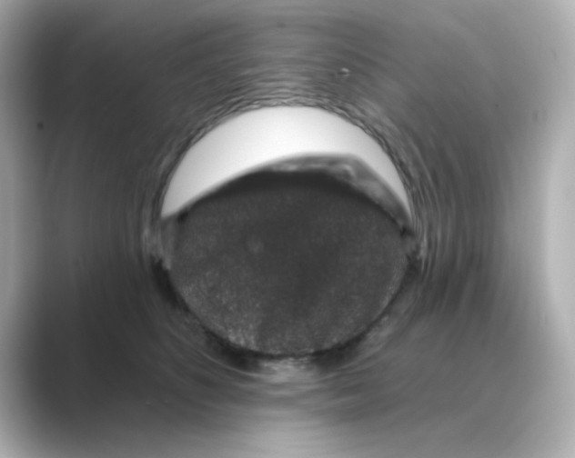 X0000088670516200706211853