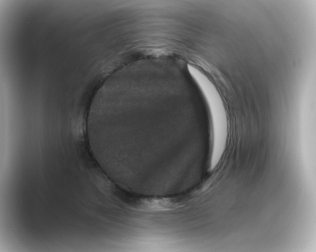 X0000088670517200706211853