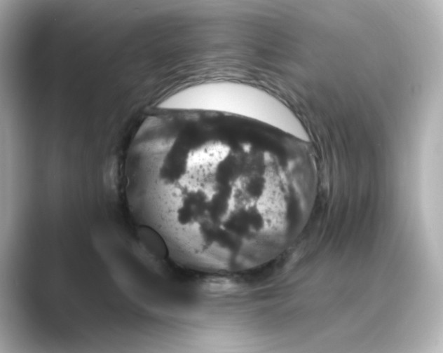 X0000088670519200706211853