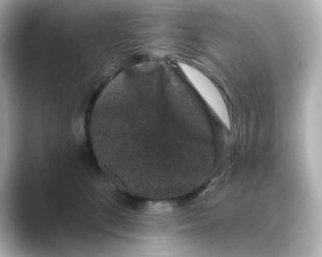X0000088670520200706211853