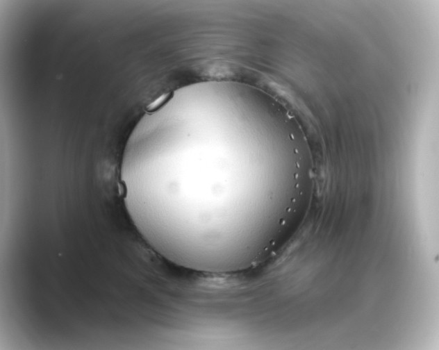 X0000088670521200706211853