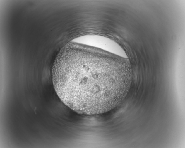 X0000088670523200706211853