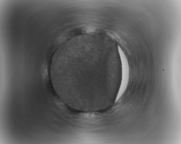 X0000088670524200706211853