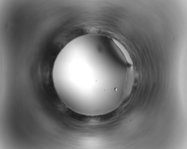 X0000088670525200706211853