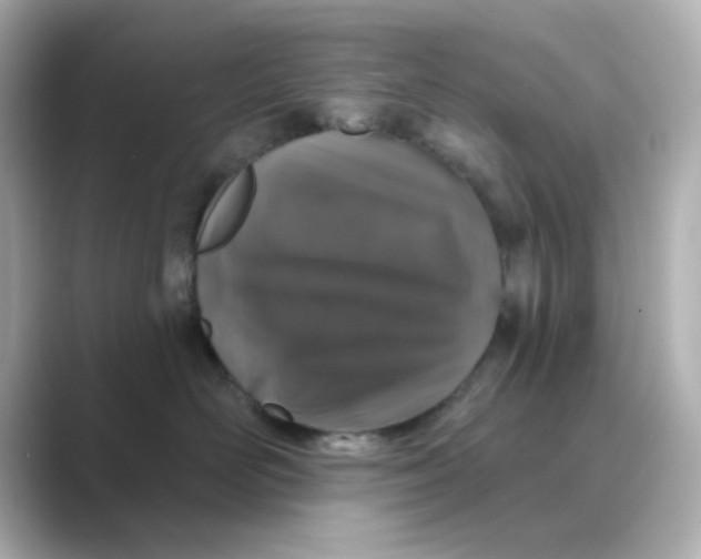 X0000088670526200706211853