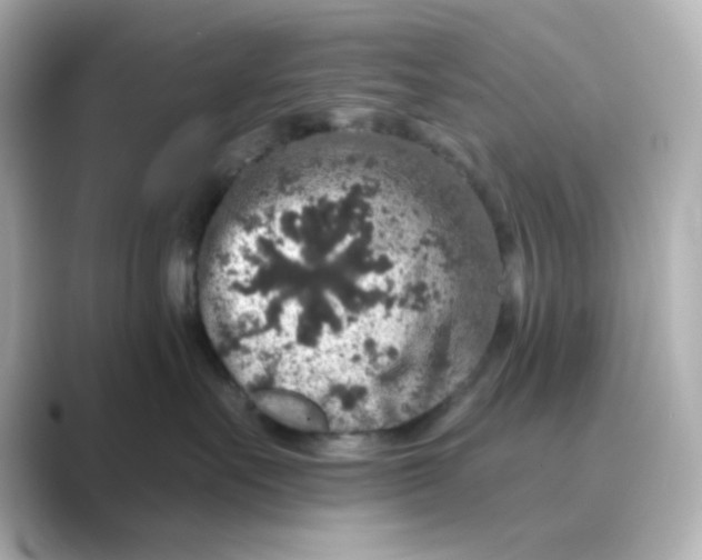 X0000088670527200706211853